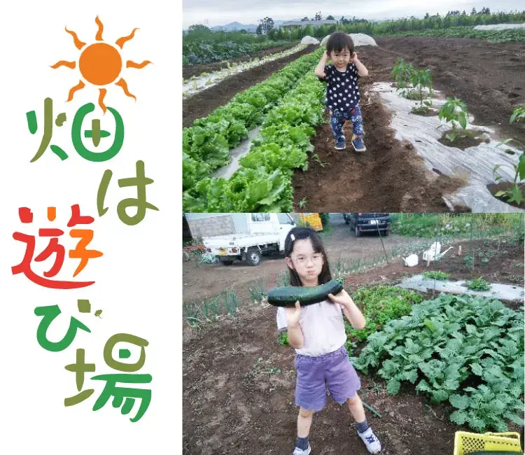 野菜畑は格好の遊び場