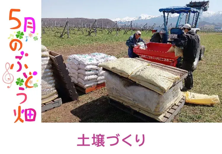 土壌づくり