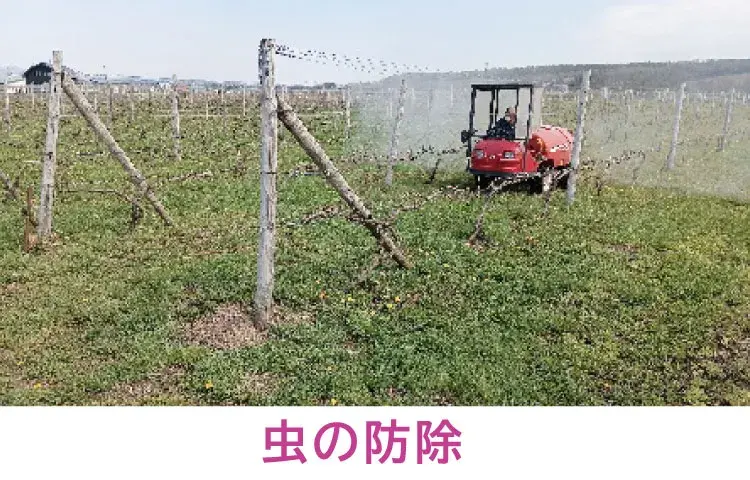虫の防除