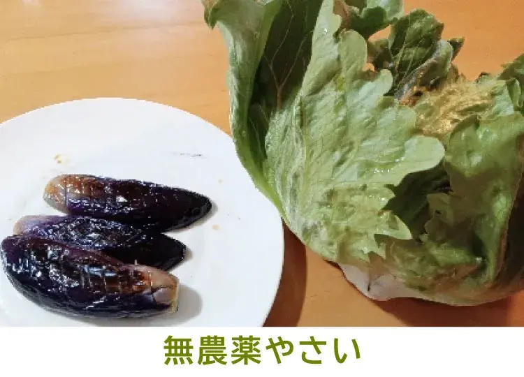 無農薬やさい