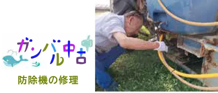 頑張る中古