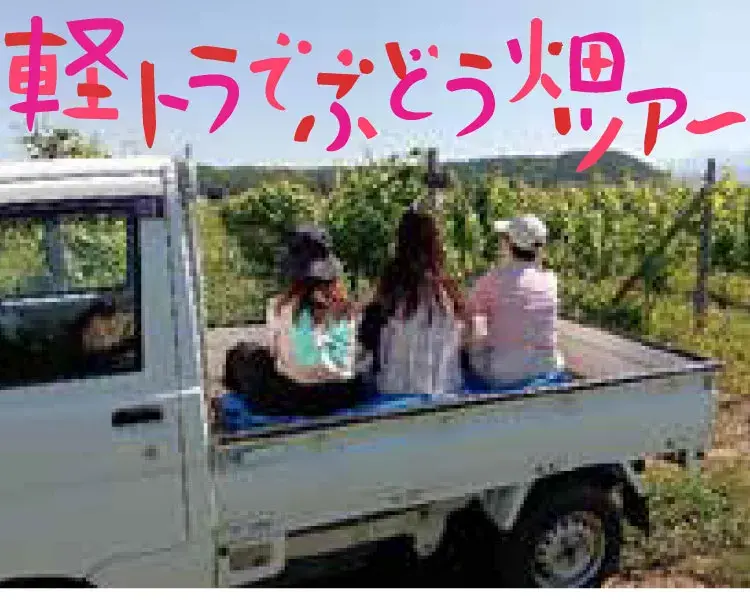 軽トラで周るぶどう畑ツアー