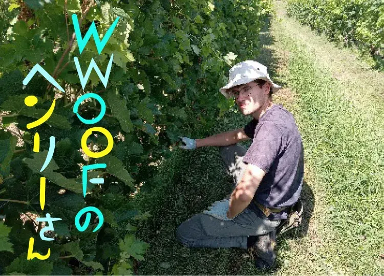 WWOOFのヘンリーさん