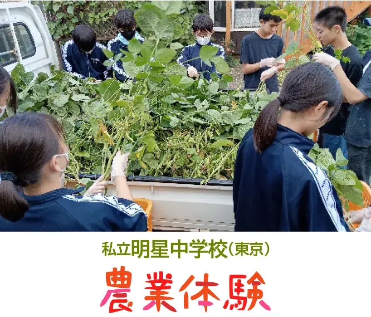 私立明星中学校3年生10名が農業体験