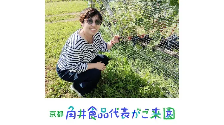 株式会社角井食品