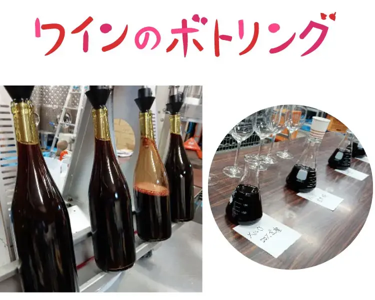 ワインをボトリング