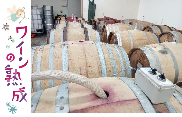 タンクで熟成中のワイン