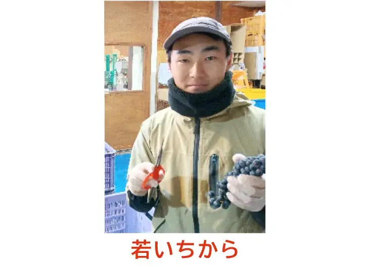 新潟から手伝いに