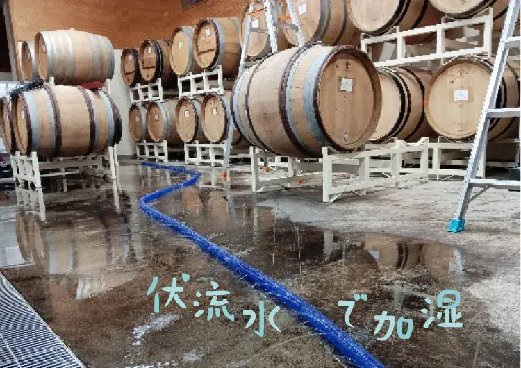 山からの伏流水をワイナリーのなかに