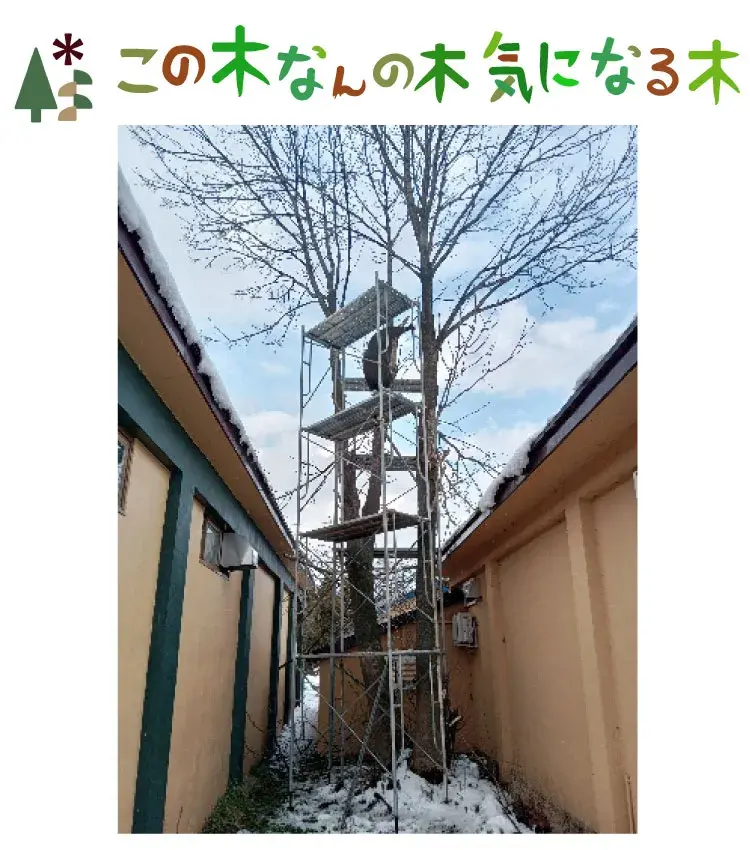 ワイナリーと倉庫の間に