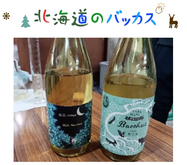 バッカス2種類を飲み比べ