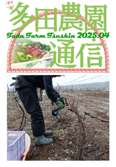多田農園通信2025年4月号