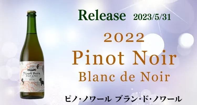 2022ピノ・ノワール ブラン・ド・ノワール