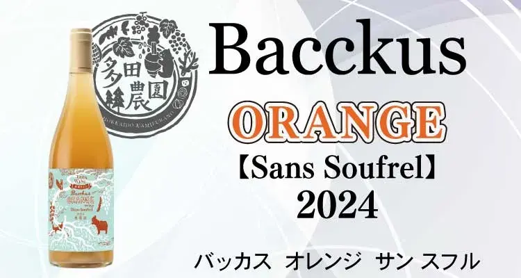 バッカス オレンジ サンスフル2023
