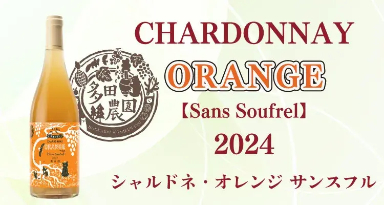 シャルオレンジサンスフル2024