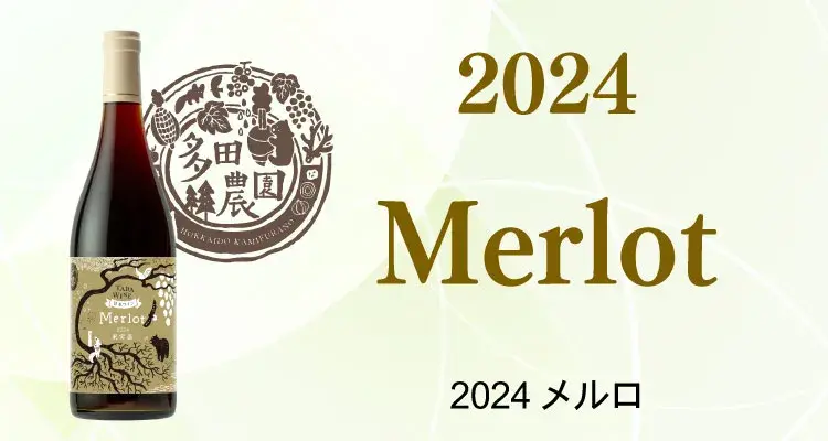 2024メルロ