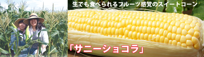 とうもろこし