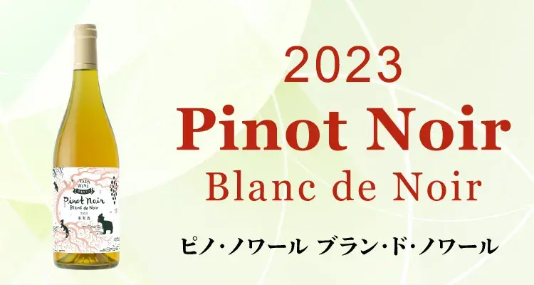 2023ピノ・ノワール ブラン・ド・ノワール