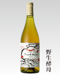 2018年白ワイン野生酵母