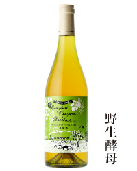 2017年白ワイン野生酵母