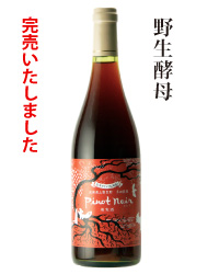 2018年白ワイン野生酵母