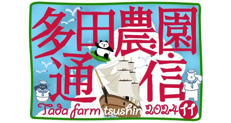 多田農園通信11月号