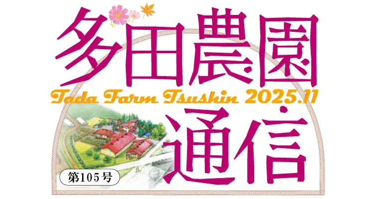 多田農園通信11月号