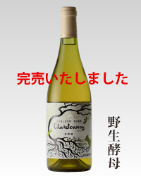 2016年シャルドネ野生酵母