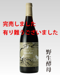2016年メルロ野生酵母